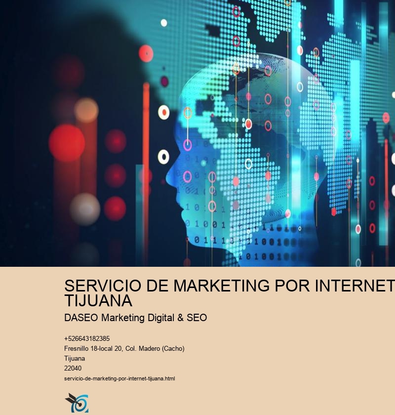 SERVICIO DE MARKETING POR INTERNET TIJUANA